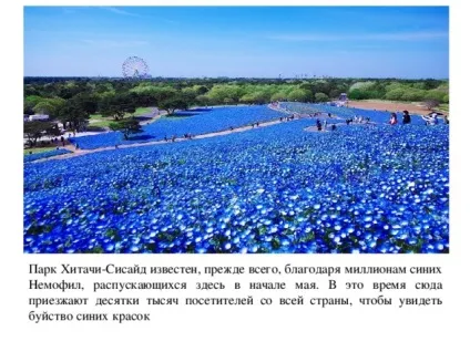 Презентація на тему садово-паркові ландшафти - географія, презентації (презентація) Презентація на тему садово-паркові ландшафти - географія, презентації