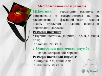 Презентація на тему дизайн квіткової клумби автор николаева надія андреевна, учениця 6 класу (Агератум Хоустона мексиканський) Презентація на тему дизайн квіткової клумби автор николаева надія андреевна, учениця 6 класу