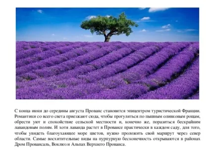 Презентація на тему садово-паркові ландшафти - географія, презентації (ландшафти) Презентація на тему садово-паркові ландшафти - географія, презентації