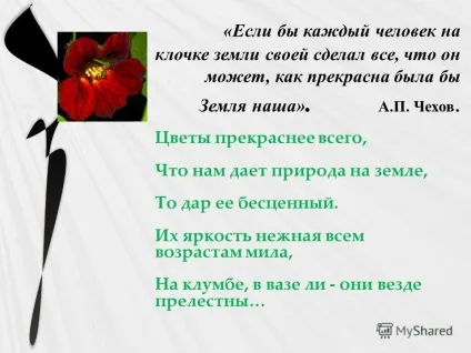 Презентація на тему дизайн квіткової клумби автор николаева надія андреевна, учениця 6 класу (Агератум Хоустона мексиканський) Презентація на тему дизайн квіткової клумби автор николаева надія андреевна, учениця 6 класу