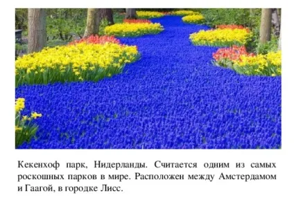 Презентація на тему садово-паркові ландшафти - географія, презентації (географія презентації презентація на тему: & quot; садово-паркові ландшафти & quot;) Презентація на тему садово-паркові ландшафти - географія, презентації