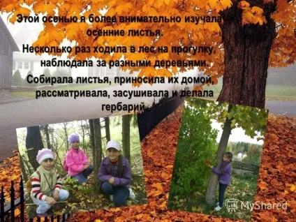 Презентація на тему чому листя змінюють свій колір виконала учениця 2 - а - класу Теплякова дарья (листя) Презентація на тему чому листя змінюють свій колір виконала учениця 2 - а - класу Теплякова дарья