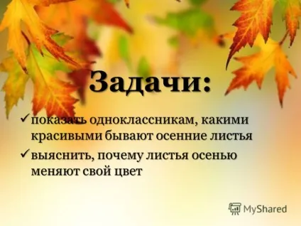 Презентація на тему чому листя змінюють свій колір виконала учениця 2 - а - класу Теплякова дарья (змінюють) Презентація на тему чому листя змінюють свій колір виконала учениця 2 - а - класу Теплякова дарья