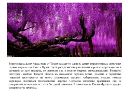 Презентація на тему садово-паркові ландшафти - географія, презентації (16-17 надалі паркове мистецтво) Презентація на тему садово-паркові ландшафти - географія, презентації