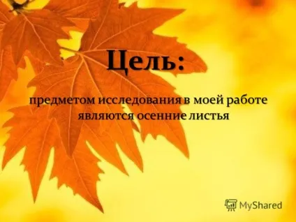 Презентація на тему чому листя змінюють свій колір виконала учениця 2 - а - класу Теплякова дарья (виконала) Презентація на тему чому листя змінюють свій колір виконала учениця 2 - а - класу Теплякова дарья