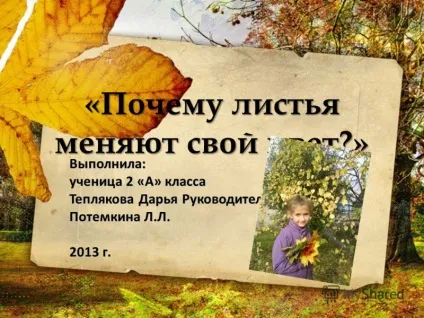 Презентація на тему чому листя змінюють свій колір виконала учениця 2 - а - класу Теплякова дарья ( «чому листя змінюють свій колір?» Виконала: учениця 2 «а» класу Теплякова дарья керівник: Потьомкіна Л.Л. 2013) Презентація на тему чому листя змінюють свій колір виконала учениця 2 - а - класу Теплякова дарья