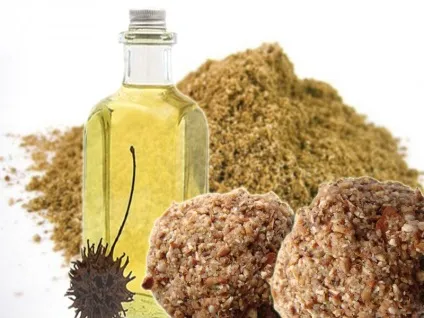 Приманка на карася своїми руками (весни початок літа) Приманка на карася своїми руками