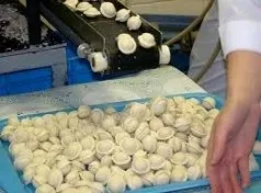 Виробництво пельменів в домашніх умовах як бізнес обладнання (виробництво) Виробництво пельменів в домашніх умовах як бізнес обладнання