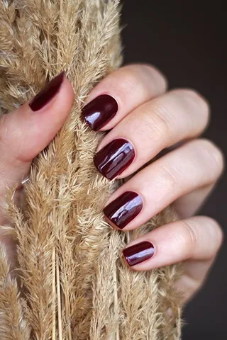 Професійний лак для нігтів nail polish (відтінок norra) від zoya - відгуки, фото і ціна (norra) Професійний лак для нігтів nail polish (відтінок norra) від zoya - відгуки, фото і ціна