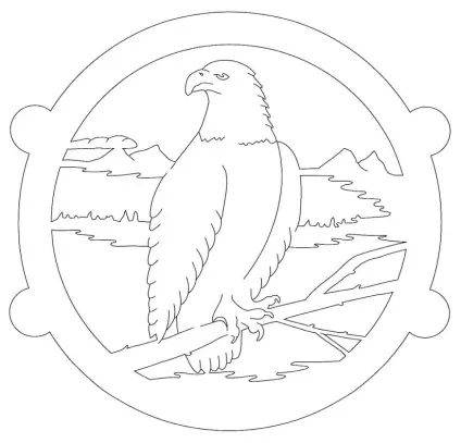 проект шанс