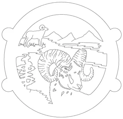 проект шанс