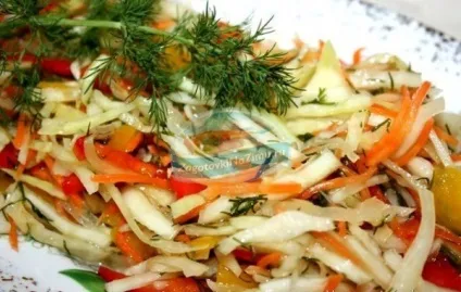 Рання капуста на зиму популярні рецепти з фото (рецепти) Рання капуста на зиму популярні рецепти з фото