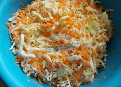 Рання капуста на зиму популярні рецепти з фото (мелений чорний перець) Рання капуста на зиму популярні рецепти з фото