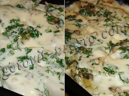 Мушлі з куркою і грибами - готувати просто (курка) Мушлі з куркою і грибами - готувати просто