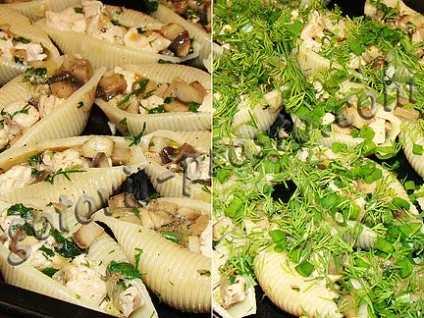 Мушлі з куркою і грибами - готувати просто (готувати) Мушлі з куркою і грибами - готувати просто