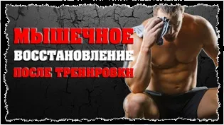Розминка перед тренуванням в тренажерному залі (тренуванням) Розминка перед тренуванням в тренажерному залі