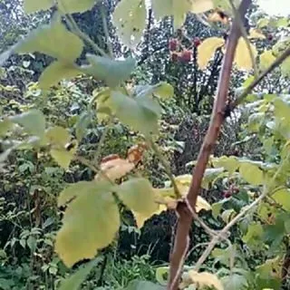 Розвиваючі ігри тут! (@galka_igralka) - instaliga is the best instagram web-viewer (@galka_igralka) Розвиваючі ігри тут! (@galka_igralka) - instaliga is the best instagram web-viewer
