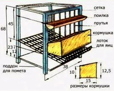 Розведення курей несучок в домашніх умовах як бізнес, бізнес план розведення курей несучок на яйце (умовах) Розведення курей несучок в домашніх умовах як бізнес, бізнес план розведення курей несучок на яйце