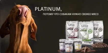 Розлади травлення у собак, «дай лапу» (травлення) Розлади травлення у собак, «дай лапу»