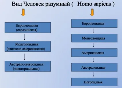 раси людини
