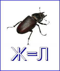 Ребуси для дошкільнят
