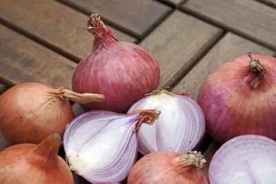 Ріпчасту цибулю для дітей як витягти максимум користі (ріпчаста) Ріпчасту цибулю для дітей як витягти максимум користі