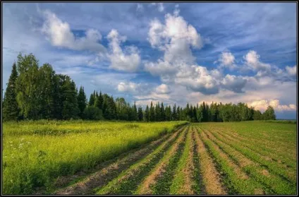 Рекультивація порушених земель етапи типи проекти фото (порушених) Рекультивація порушених земель етапи типи проекти фото