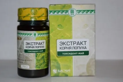 Реп'ях (лопух великий) як виглядає рослина, будова, корисні плоди, насіння, де ростете, (великий) Реп'ях (лопух великий) як виглядає рослина, будова, корисні плоди, насіння, де ростете,