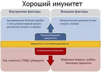 Рекомендації, як підвищити і зміцнити імунітет, які фактори його пригнічують (як підвищити імунітет) Рекомендації, як підвищити і зміцнити імунітет, які фактори його пригнічують