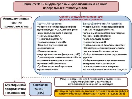 Рекомендації європейського товариства кардіологів з лікування фібриляції передсердь 2016 що нового в