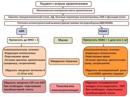 Рекомендації європейського товариства кардіологів з лікування фібриляції передсердь 2016 що нового в