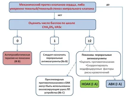 Рекомендації європейського товариства кардіологів з лікування фібриляції передсердь 2016 що нового в