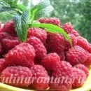 Рецепт домашніх пряників, смачні рецепти (ванільні пряники) Рецепт домашніх пряників, смачні рецепти