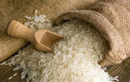 Рис при грудному вигодовуванні малюка