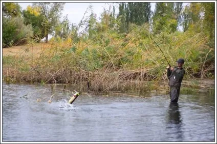 Риболовля при сильному вітрі