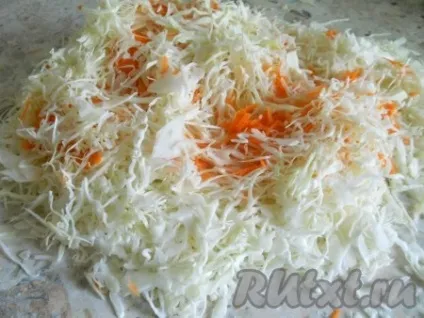 Рецепт квашеної капусти з морквою - рецепт з фото (квашеної) Рецепт квашеної капусти з морквою - рецепт з фото