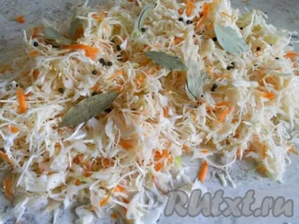 Рецепт квашеної капусти з морквою - рецепт з фото (квашеної) Рецепт квашеної капусти з морквою - рецепт з фото