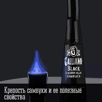 Рецепт приготування домашньої самбуки (приготування) Рецепт приготування домашньої самбуки