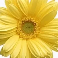 народилася дитина