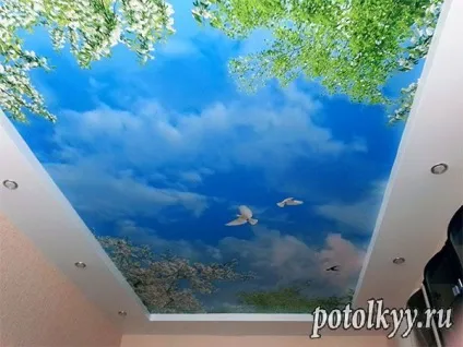Розпис стель своїми руками вартість і види (своїми) Розпис стель своїми руками вартість і види