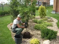 Деревна кора в ладншафтном дизайні - відмінні мульча і декор (деревна) Деревна кора в ладншафтном дизайні - відмінні мульча і декор