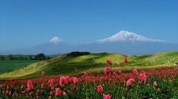 Дюжина несподіваних страв російської кухні (кухні) Дюжина несподіваних страв російської кухні