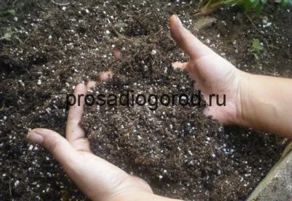 Доломітове борошно як використовувати в городі навесні, фото і відео (доломітове) Доломітове борошно як використовувати в городі навесні, фото і відео