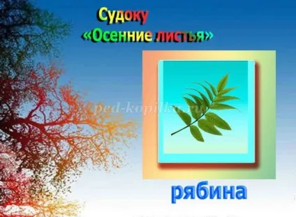 Судоку з відповідями для дітей 6-7 років на тему осінь (судоку) Судоку з відповідями для дітей 6-7 років на тему осінь