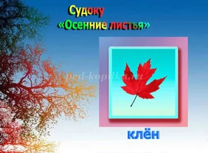 Судоку з відповідями для дітей 6-7 років на тему осінь ( «дуб» «горобина» «клен») Судоку з відповідями для дітей 6-7 років на тему осінь
