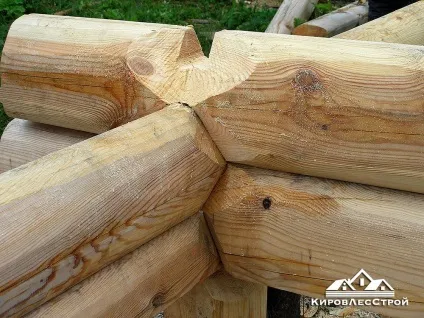 Будівництво будинків