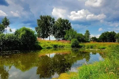Найбільш екологічно чисті райони Підмосков'я - квартира як середовище проживання (Підмосков'ї) Найбільш екологічно чисті райони Підмосков'я - квартира як середовище існування