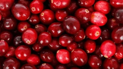 Найкорисніші і шкідливі продукти для щитовидної залози - здоров'я і оздоровлення