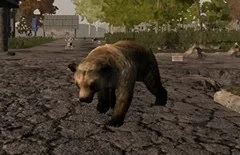 Згорілий ліс (burnt forest), біоми, опис і особливості 7 days to die (forest) Згорілий ліс (burnt forest), біоми, опис і особливості 7 days to die