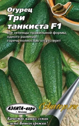 Насіння огірка сорту три танкіста f1 (насіння огірка три танкіста купити) Насіння огірка сорту три танкіста f1